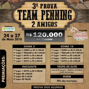 3ª prova de Team Penning 2 amigos