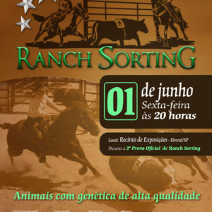 2º leilão estrelas do Ranch Sorting