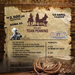 Bolão de Team Penning – HSF