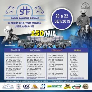 8ª PROVA DE TEAM PENNING HSF